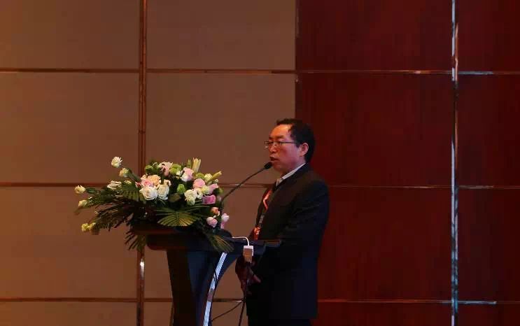 中國鋰電協(xié)會秘書長劉彥龍